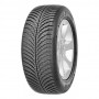 GOODYEAR_VECTOR 4 SEASONS G2